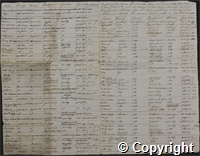 "A List of the Negroes and Mulatto Slaves on Turners Hall Plantation"