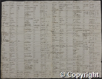 "A List of the Negroes and Mulatto Slaves on Turners Hall Plantation"