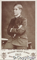 Postcard: Belgian Relief Funds 1915 Official Souvenir.  HRH the Prince of Wales