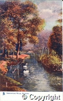 Postcard featuring a colour illustration of the Serpentine Walks along the River Wye in Buxton.
