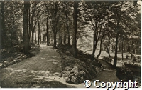 Postcard featuring a view of the serpentine walks by the River Wye in Buxton.