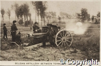 Postcard: Belgian artillery between Termonde and Lebbeke