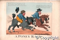 A Poney Race